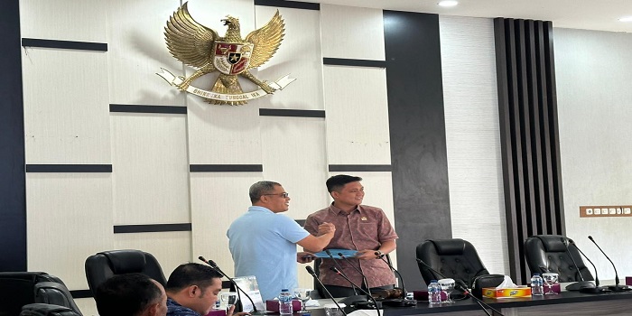 Dalam Rapat Banggar, Hafiz Minta Pemerintah Wajib Perhatikan Organisasi Cipayung