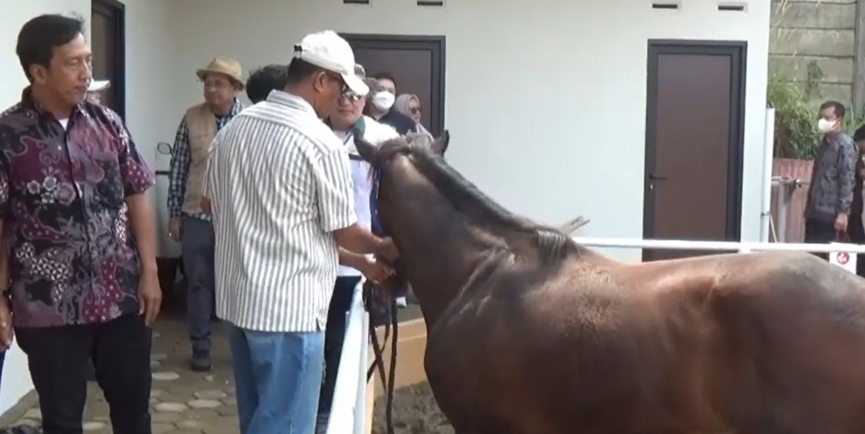 Pemprov Jambi Apresiasi Hadirnya RN Jambi Equestrian Center, Rumah bagi Para Pecinta Kuda