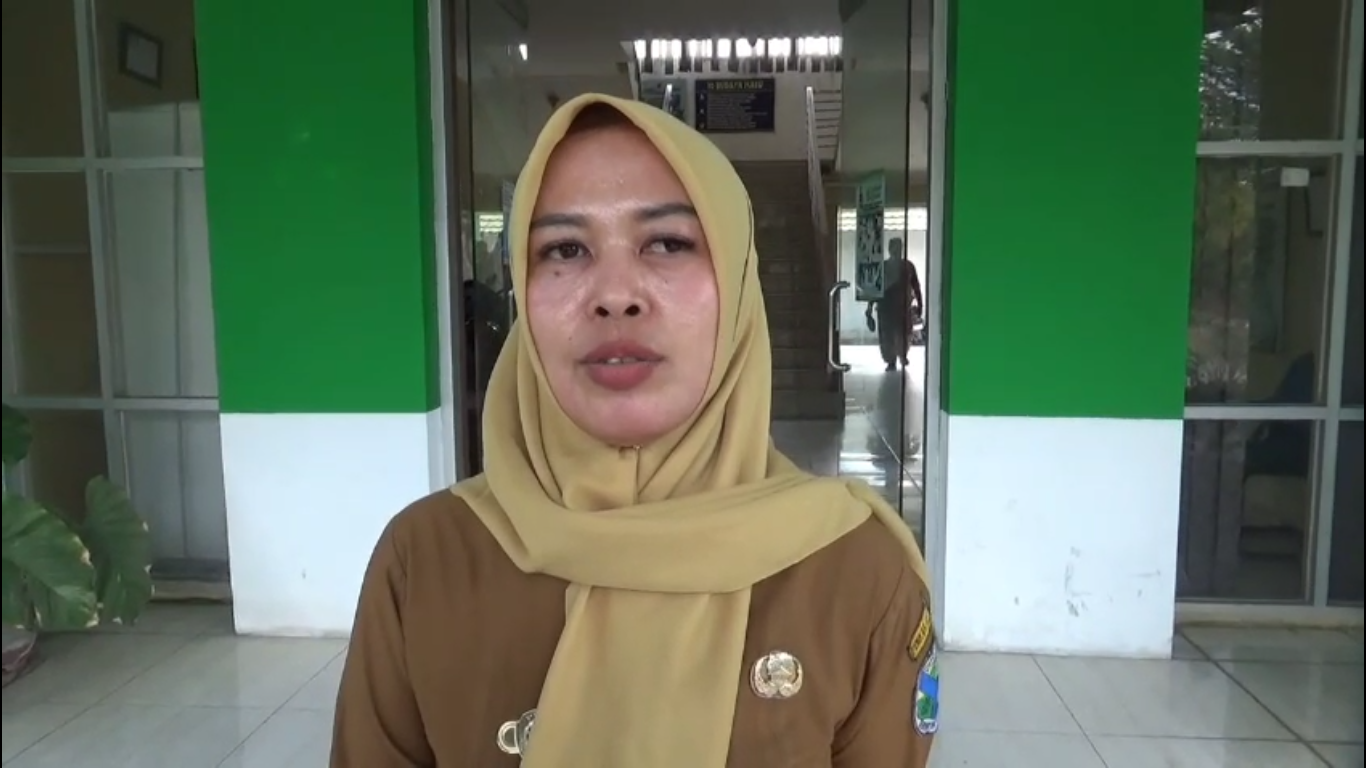 DPPKBP3A BATANG HARI TEMUKAN 30 KASUS KEKERASAN PEREMPUAN DAN ANAK