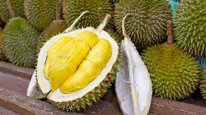 Musim Durian di Provinsi Jambi, Inilah 7 Manfaat Konsumsi Buah Durian untuk Kesehatan