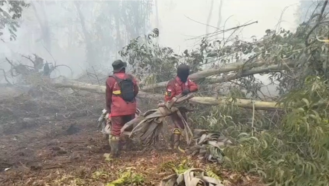 Petugas Manggala Agni Berjibaku Padamkan Karhutla di Hutan Lindung Gambut Londerang