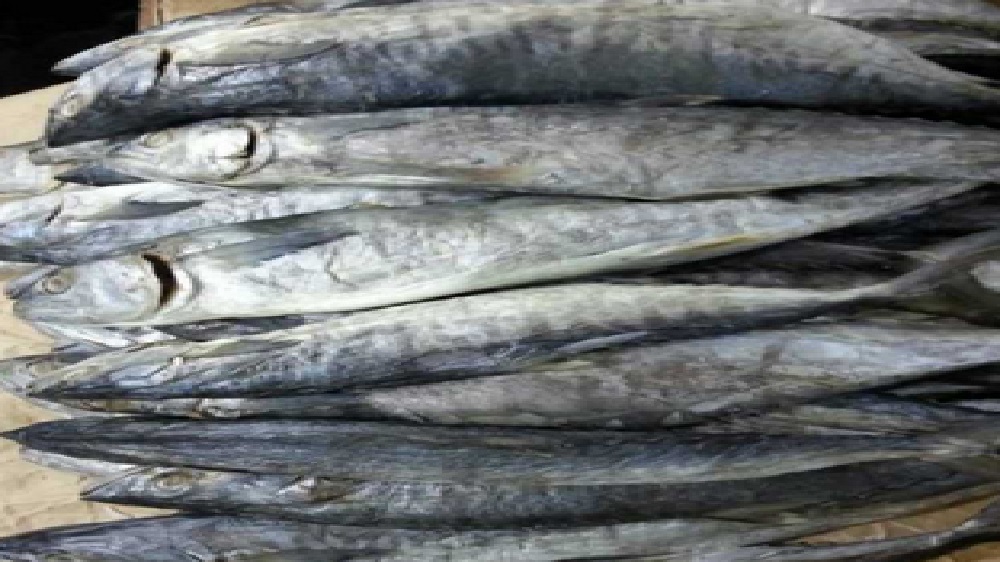 5 Ragam Ikan Asin yang Menggoda Selera Khas Jambi