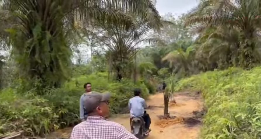 Jalan Desa Ditanami Bonggol Sawit, Akses Masyarakat Terganggu