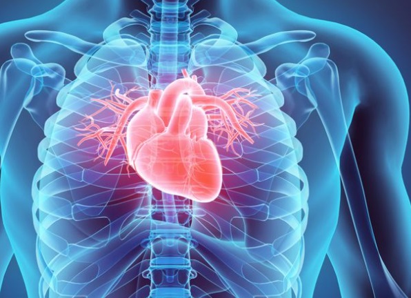 Menjaga Kesehatan Jantung di Usia 20 Tahun ke Atas, Begini Caranya