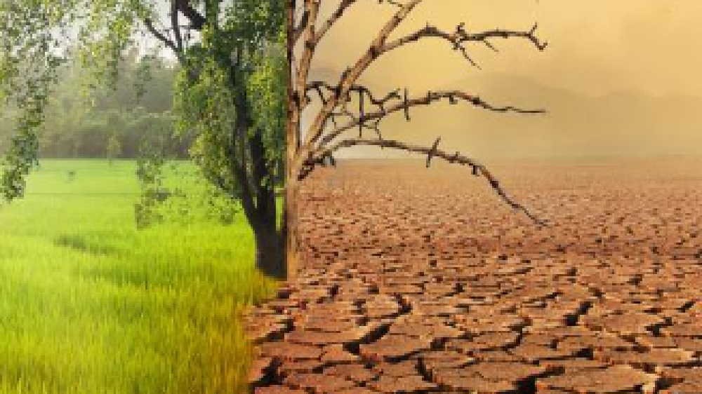 7 Perubahan Iklim dan Dampaknya terhadap Lingkungan