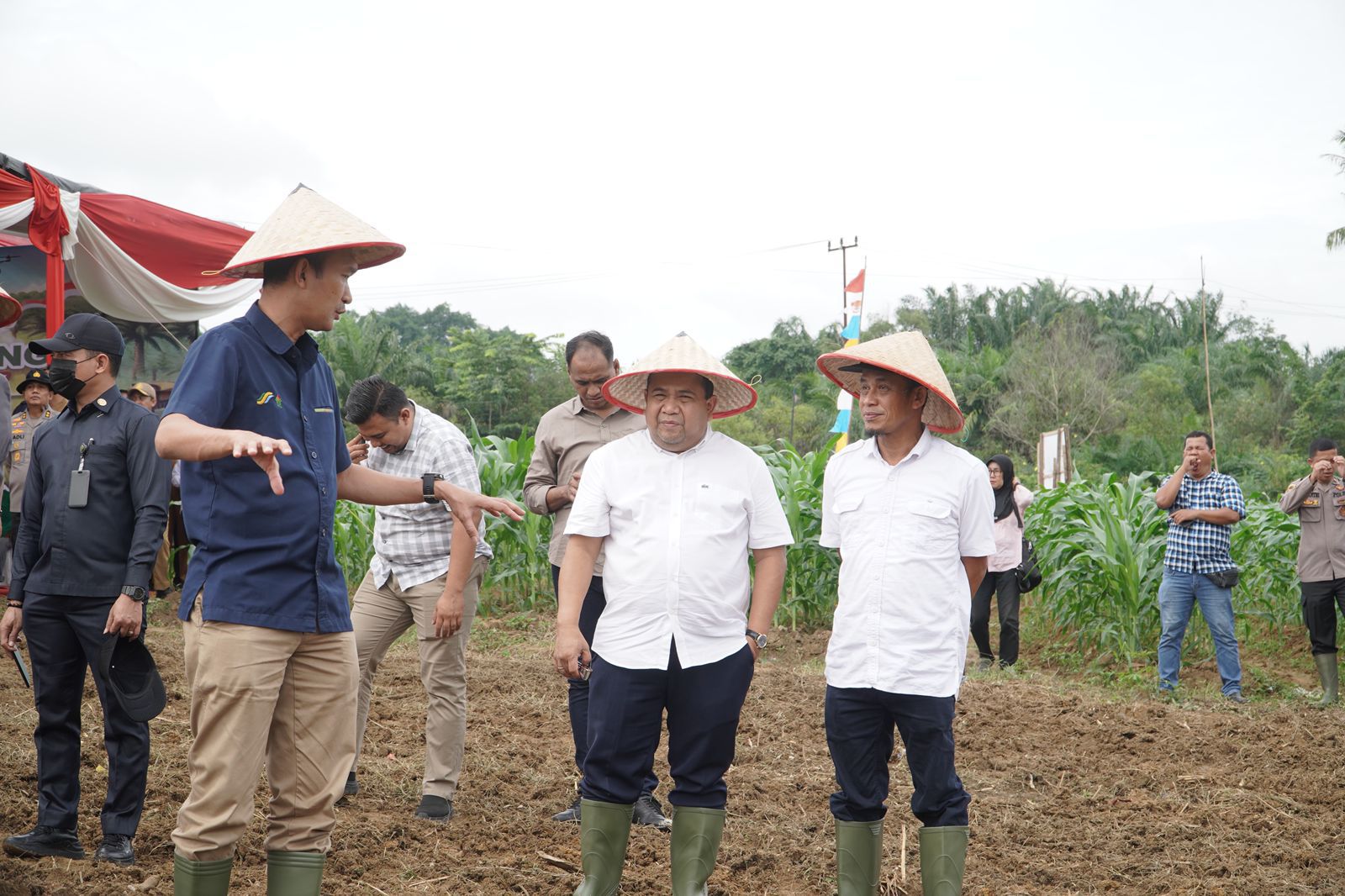 PTPN IV Regional 4 dan Polda Jambi Tanam Jagung Bersama