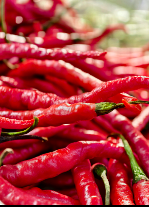 Harga Cabai Di Kota Jambi Relatif Stabil