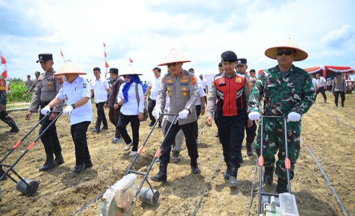 Tanam Jagung Serentak, Polda Jambi Dukung Program Swasembada Pangan Nasional