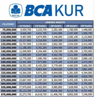 Tingkatkan Akses Pembiayaan bagi UMKM, Mudah dan Terjangkau dengan KUR BCA 2023