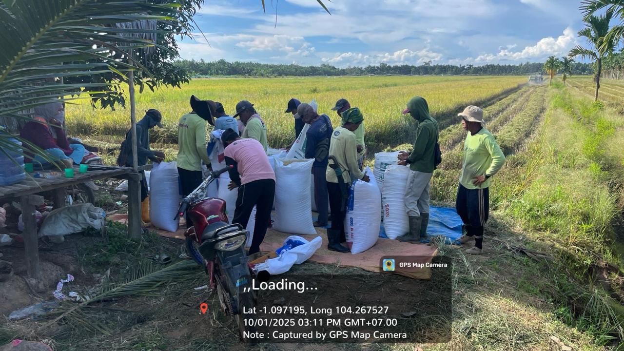 Bulog Sebut 1.900 Ton Beras Petani Terserap