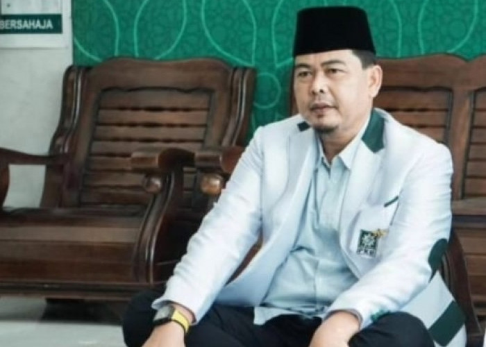 Penjaringan Bakal Calon Kepala Daerah di Jambi, Elpisina: Kewenangan DPP