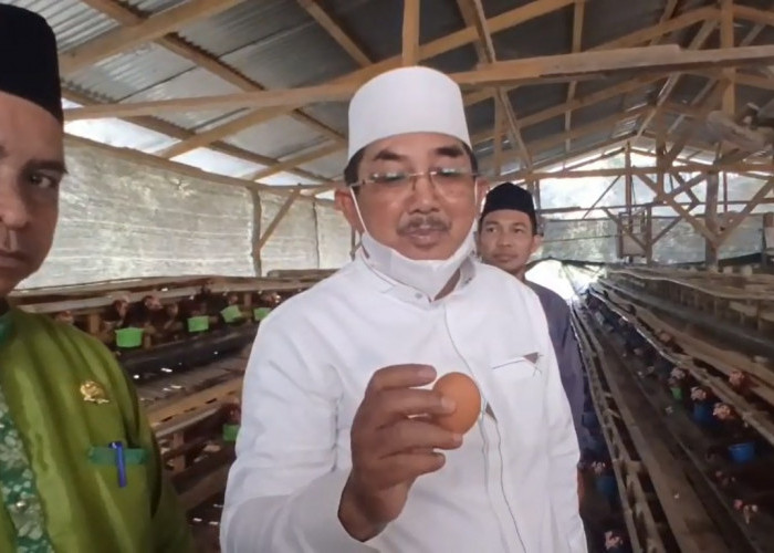 Bupati Tinjau Peternakan Ayam Petelur Bumdesma Batang Asam 