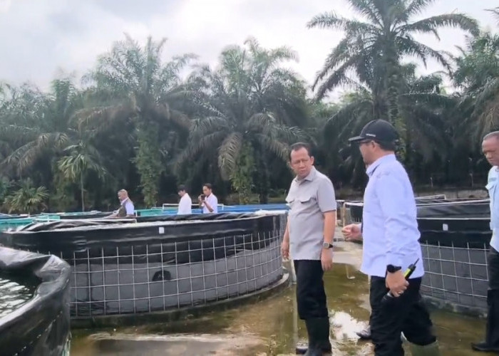 Dukung Ketahanan Pangan, Bupati BBS Kunjungi BPBAT Sungai Gelam