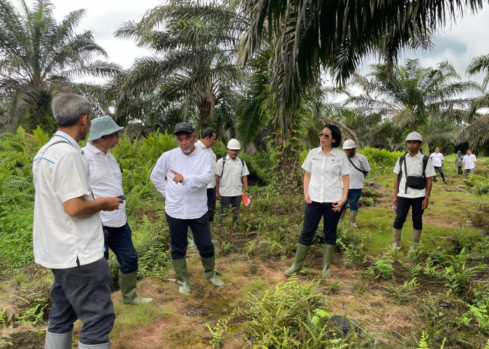 Direksi Palmco Pastikan Target Produksi PTPN Regional 4 Tercapai