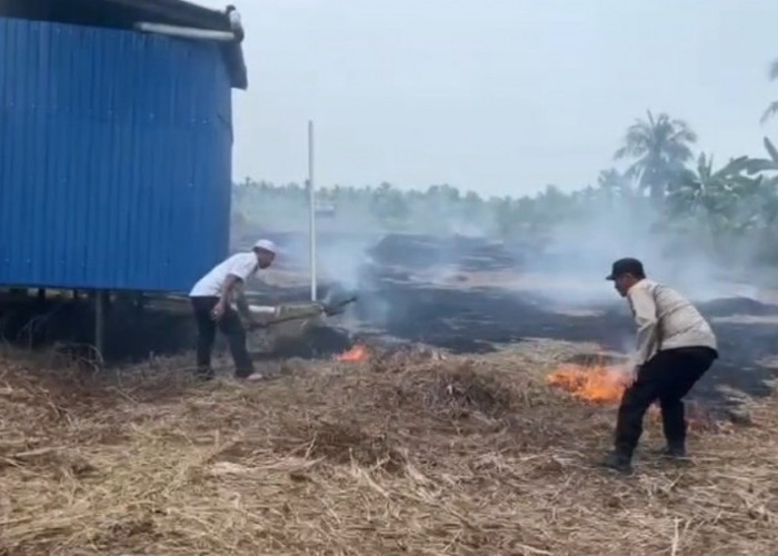 0,2 Hektare Lahan di Dusun Tua Desa Pembengis Terbakar