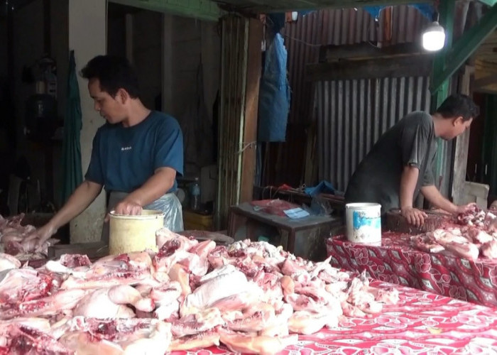 Harga Ayam Potong di Kuala Tungkal Turun Jadi Rp38 Ribu per Kilogram