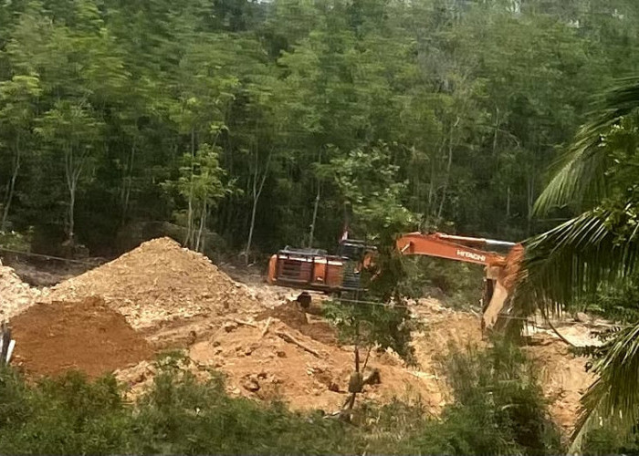 Warga Desa Ranggo Terdampak, Kala Lahan Hutan Tanaman Energi Jadi Tambang Emas Ilegal di Sarolangun