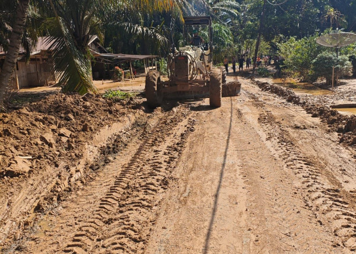 PalmCo Kawal Pemulihan Pascabanjir Tapanuli Selatan hingga Tuntas