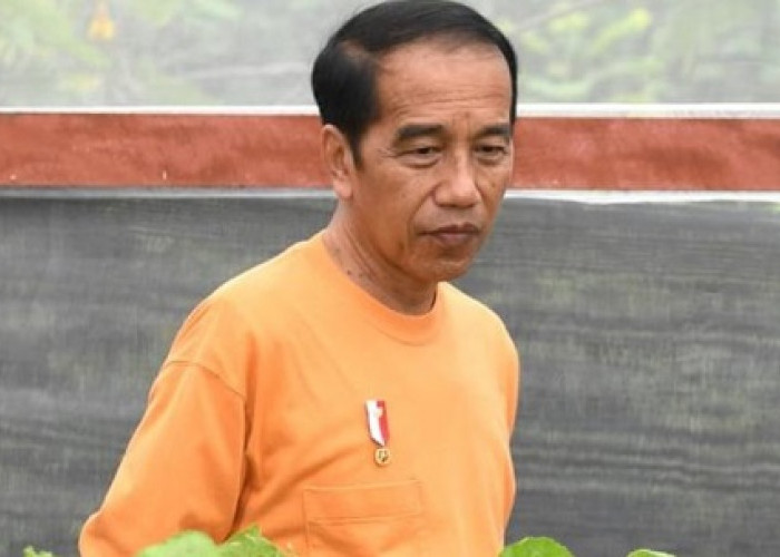 Presiden Jokowi Jenguk Cak Nun di  RSUP Dr Sardjito
