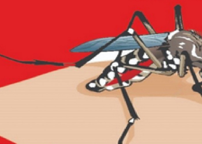 Cara Menghindari Demam Berdarah Dengue (DBD) pada Anak-Anak