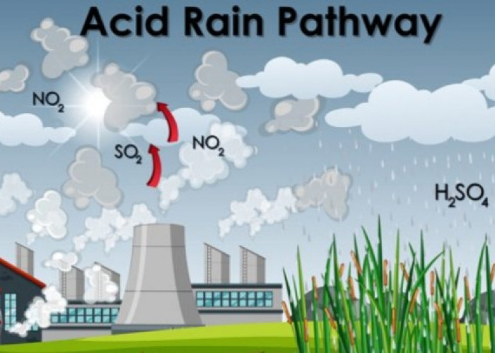 Hujan Asam, Ancaman Tersembunyi di Balik Tetesan Air