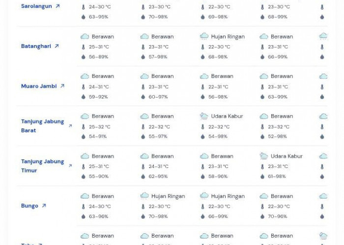BMKG Prediksi Sebagian Wilayah Jambi Diguyur Hujan Ringan Awal Pekan