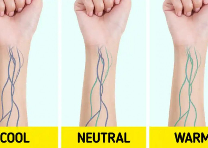 Jangan Salah Pilih Makeup! Kenali 3 Jenis Undertone Kulit dan Cara Mudah Mengeceknya