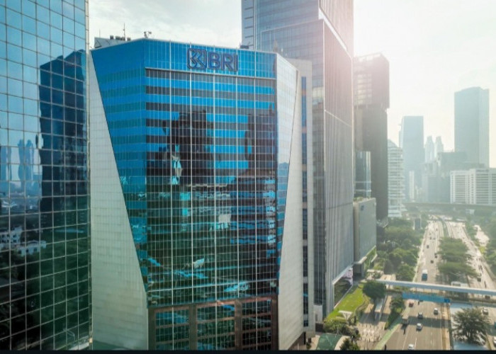 Perusahaan Anak BRI Group Catat Laba Rp8,2 Triliun, Kontribusi ke Induk Capai 19,9%