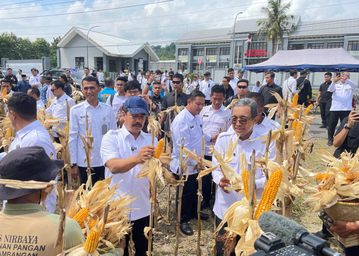 Nusakambangan Panen Perdana, Bangun Lumbung Ketahanan Pangan dan Beri Kesempatan Warga Binaan