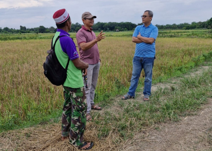 Dukung Swasembada Pangan, Anggota DPRD Provinsi Jambi Muhammad Nasir Apresiasi Semangat Poktan di Kota Jambi