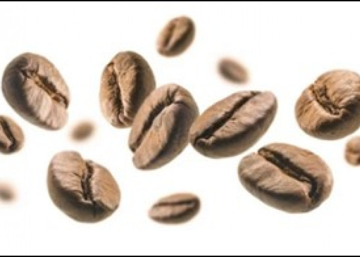 Gangguan Tidur Hingga Kinerja Otak, Berikut Dampak Kafein Pada Kopi