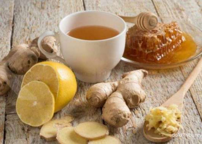 Obat Herbal Tradisional untuk Redakan Batuk, Alternatif Alami yang Banyak Digunakan