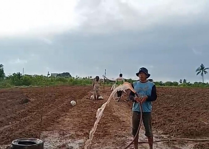 Petani di Kota Jambi Ucapkan Terima Kasih Atas Bantuan yang Diberikan Wakil Ketua DPRD Kota Jambi M Yasir