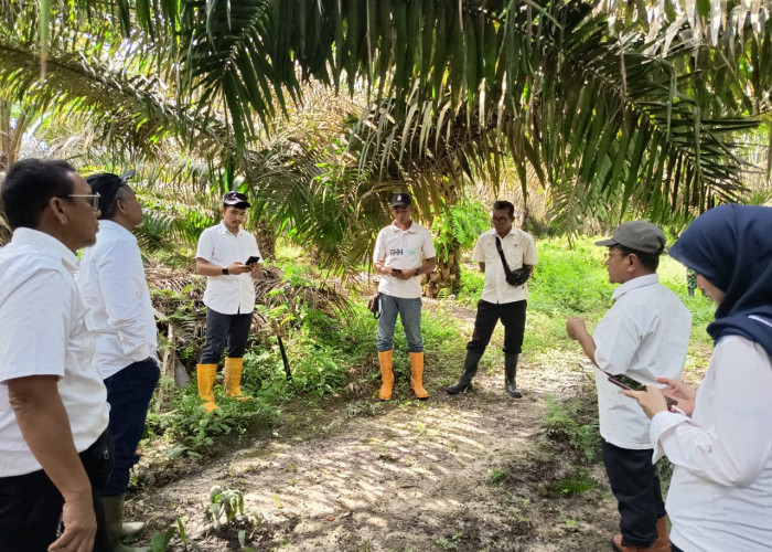 Kebun PTPN IV Regional IV Utamakan Operational Excellence 