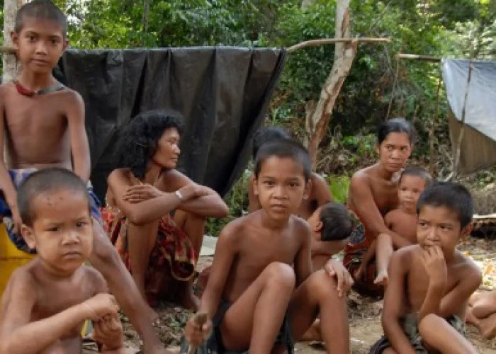Tradisi Unik Suku Anak Dalam di Jambi: Menguburkan Ari-Ari di Bawah Pohon Kecil