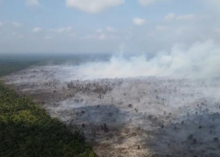Soroti Karhutla Jambi, WALHI Desak Polisi Tindak Tegas Korporasi dan Jangan Garang ke Petani Kecil Saja