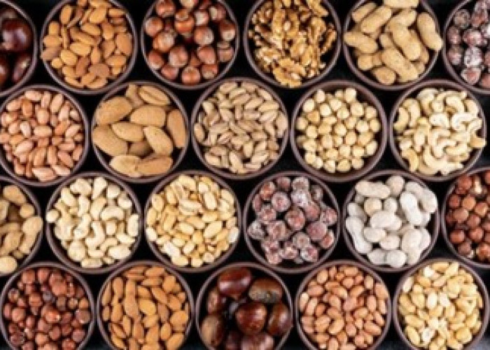 Kacang: Cemilan Bergizi untuk Konsumsi Harian