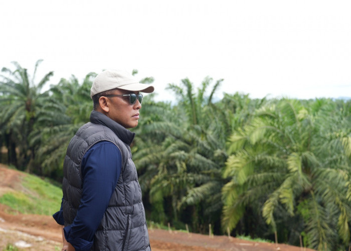 Siaga Hadapi Kemarau, PTPN IV PalmCo Perkuat Deteksi Dini Karhutla hingga Strategi Agronomi