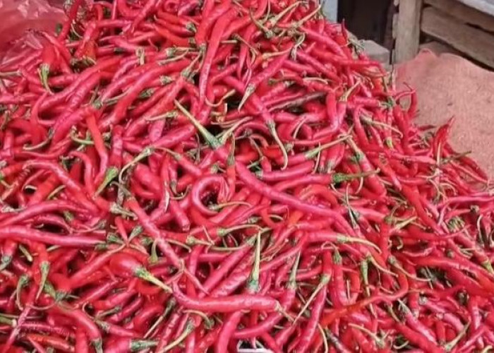 Harga Bahan Pokok di Pasar Angso Duo Jambi Relatif Stabil per 19 Februari 2026