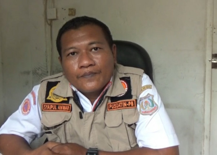 Karhutla di Tanjab Barat Capai 709,35 Hektare, BPBD Catat 860 Kejadian hingga 26 Oktober