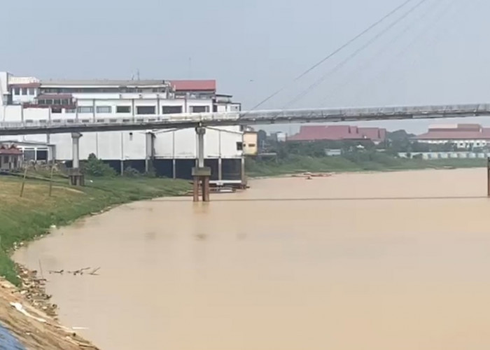 Dampak Kemarau, Ketinggian Air Sungai Batanghari Surut Drastis hingga 7,43 Meter