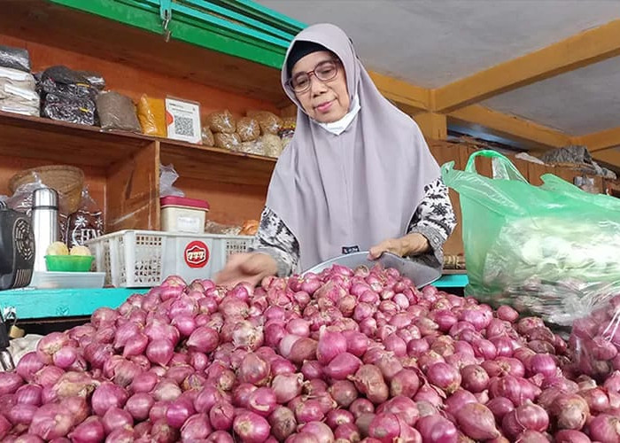 Dinamika Pasokan dan Perkembangan Harga Bawang di Pasar Kota Jambi