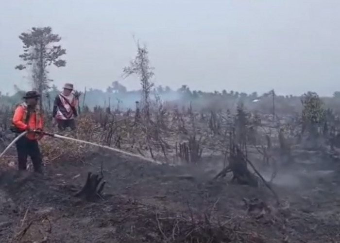 15 Hektare Lahan di Dusun Bumi Ayu Terbakar, Pemadaman Berlangsung Dua Hari 
