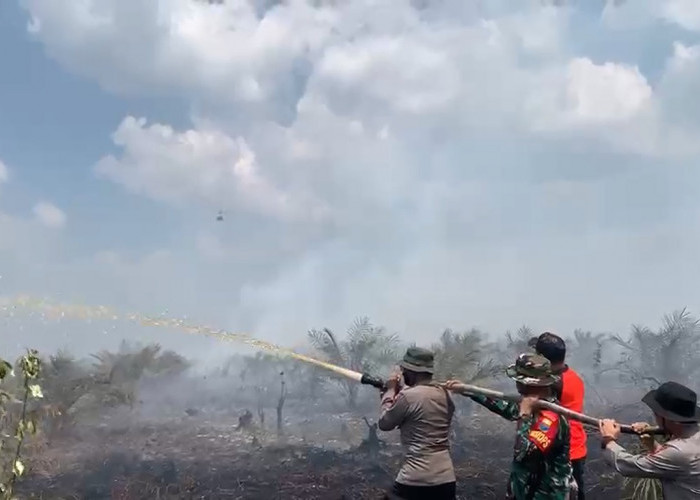Polda Jambi Selidiki Asal Api Karhutla di Sungai Gelam 