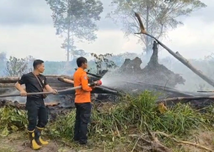 Lahan Sawit Di Desa Sungai Alai, Tebo Tengah, Terbakar