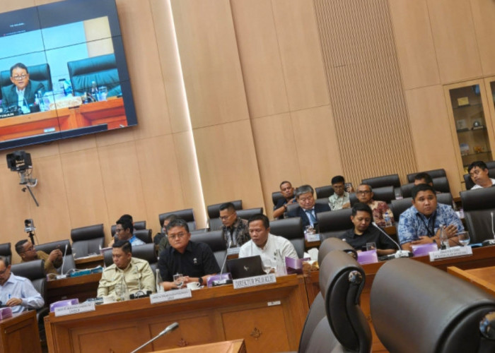 10 Perusahaan Batu Bara Dipanggil ke Senayan, Ini Daftarnya 