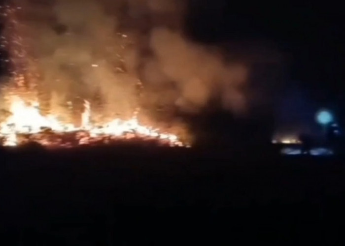 Api Berkobar Malam Hari, Lebih dari 10 Hektare Lahan Gambut di Muaro Jambi Terbakar