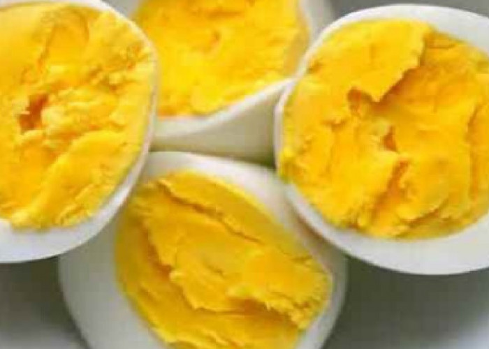 Kekayaan Nutrisi Tersembunyi: Pangan Olahan dari Telur Ayam