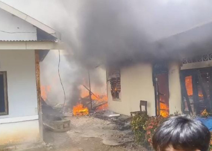 Kebakaran Dua Rumah di Telanaipura, Damkar Kerahkan 8 Armada