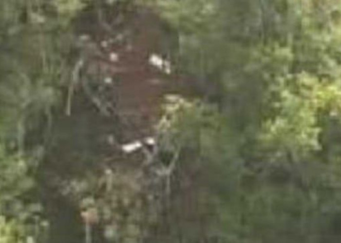 Tragedi Helikopter di Kalbar, dikabarkan Warga Jambi jadi Salah Satu Korban Salah Satu Penumpang Helikopter